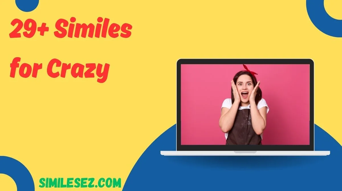 29+ Similes for Crazy