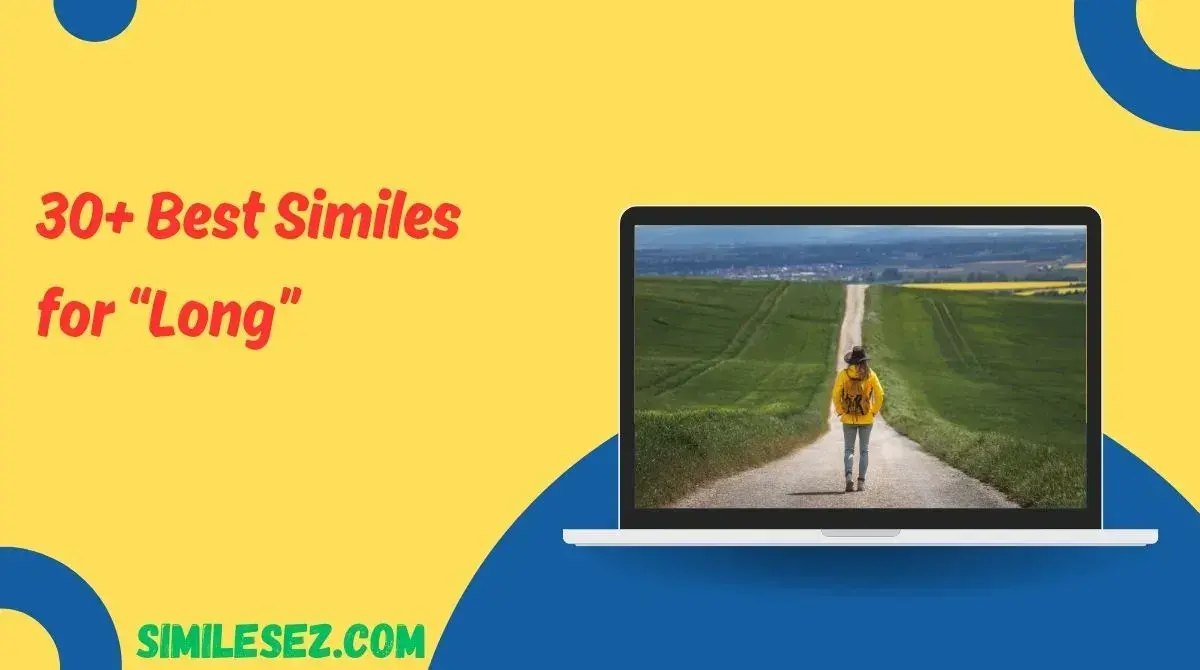 30+ Best Similes for Lonely