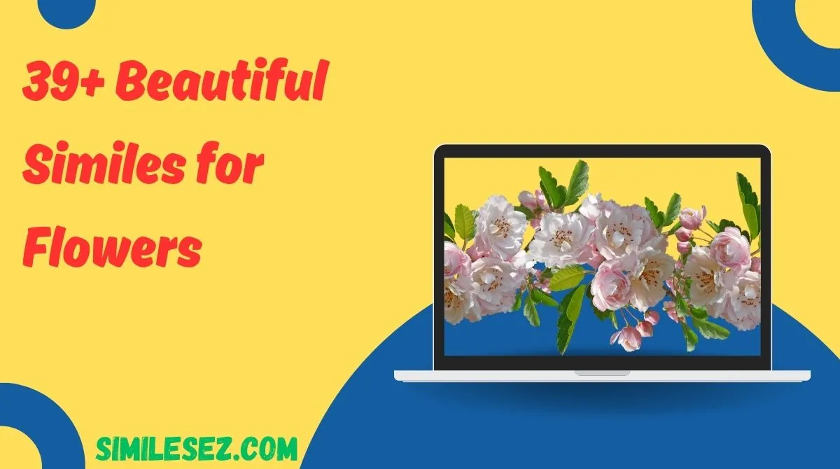 39+ Beautiful Similes for Flowers