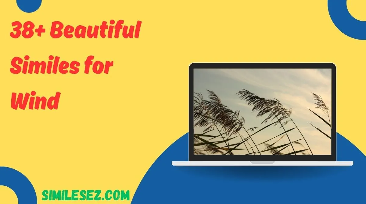 38+ Beautiful Similes for Wind