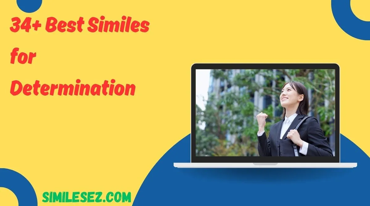 34+ Best Similes for Determination