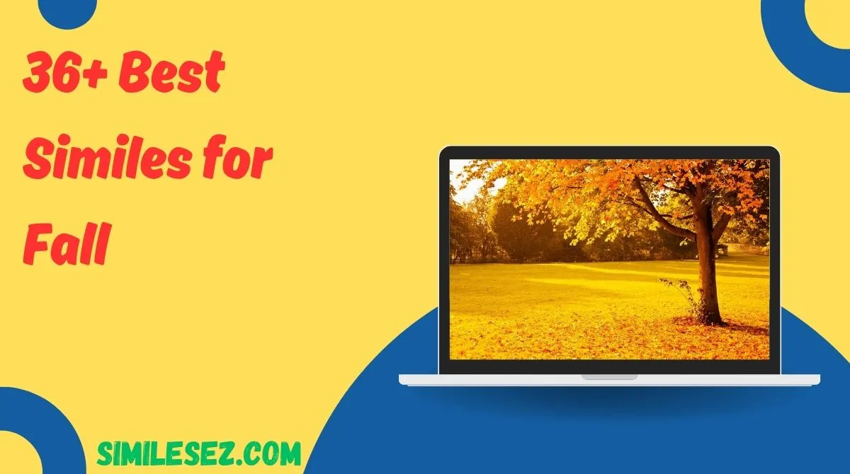 36+ Best Similes for Fall
