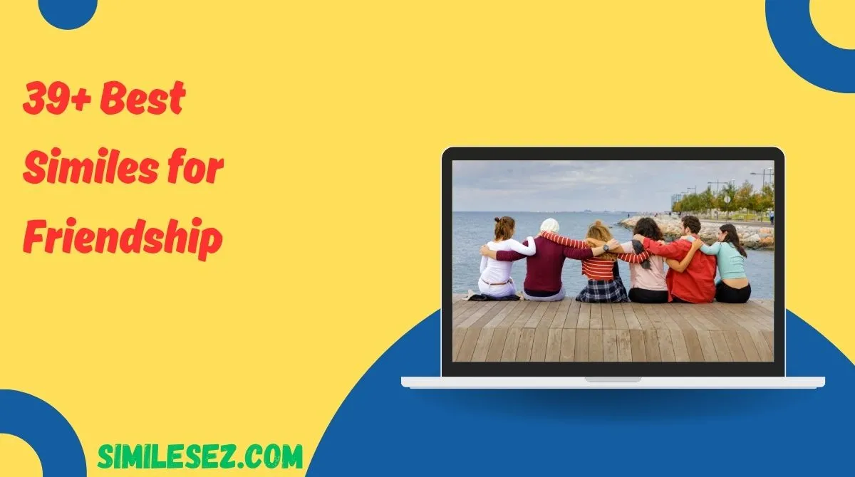 39+ Best Similes for Friendship