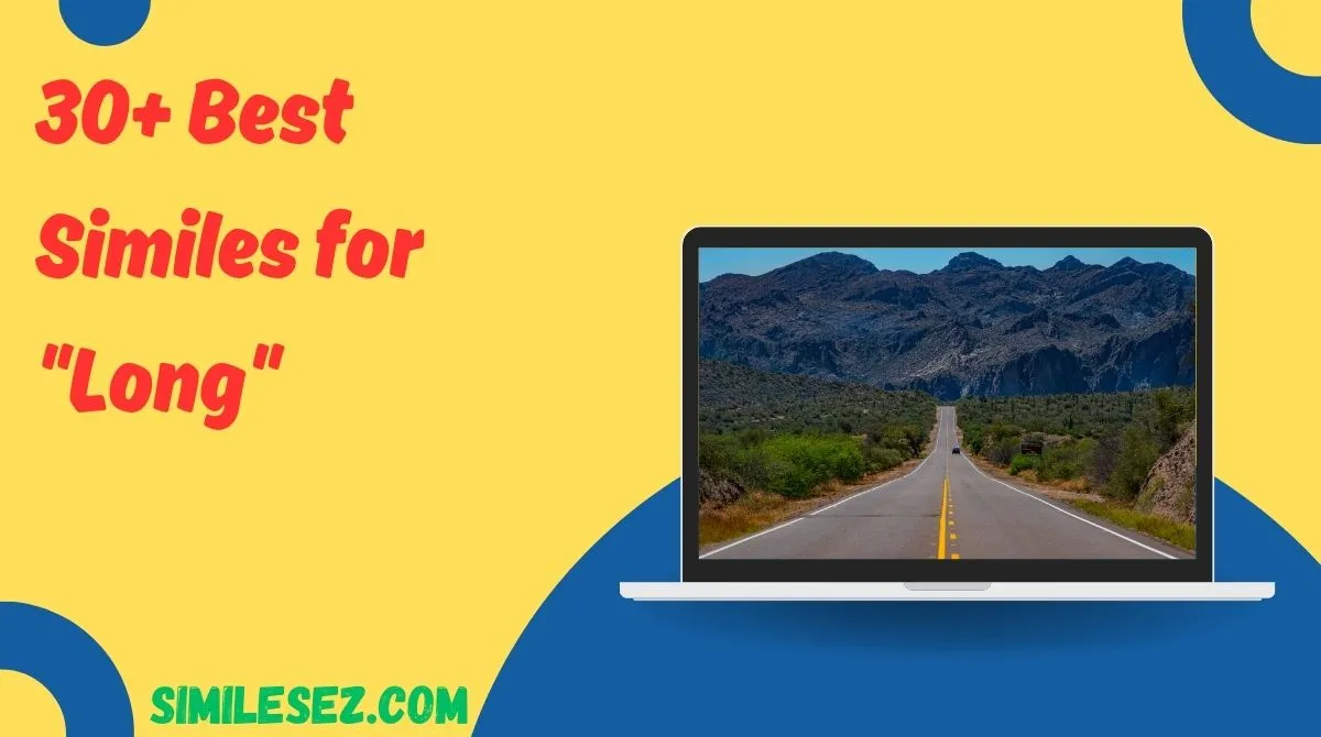 30+ Best Similes for "Long"