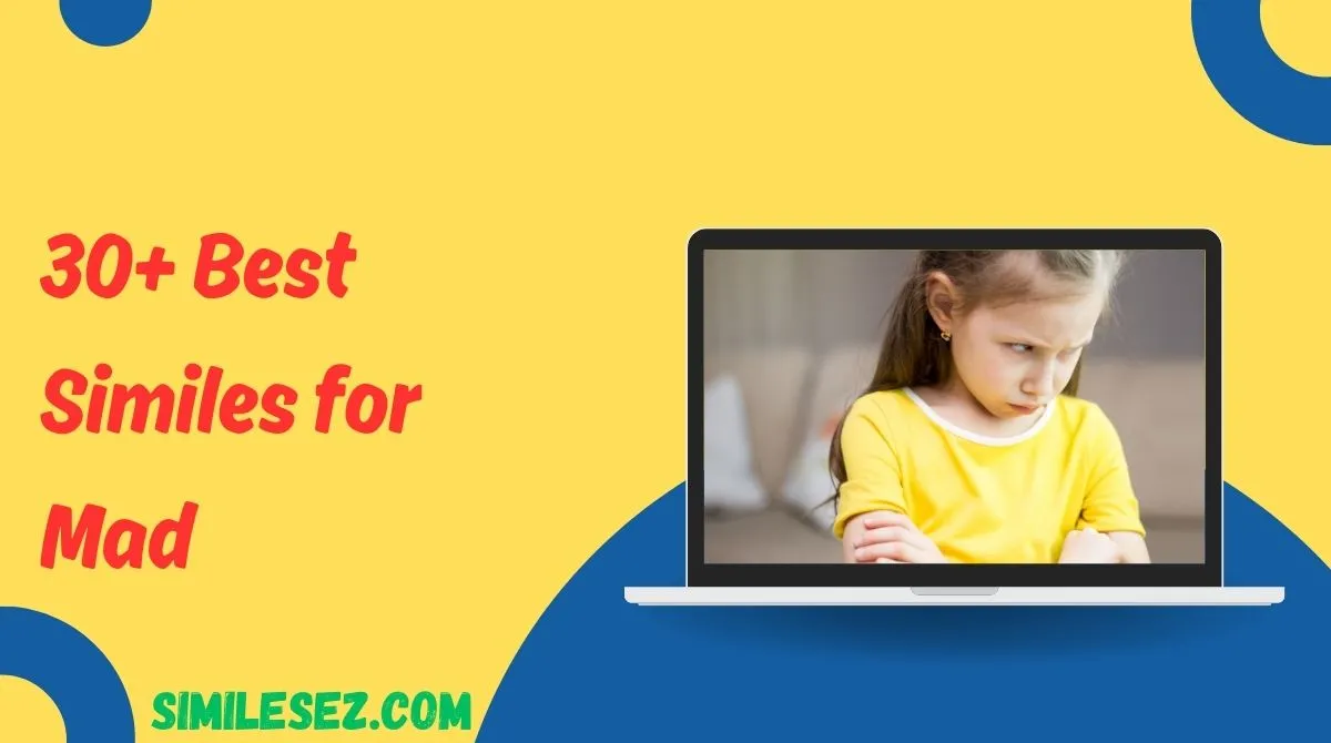 30+ Best Similes for Mad