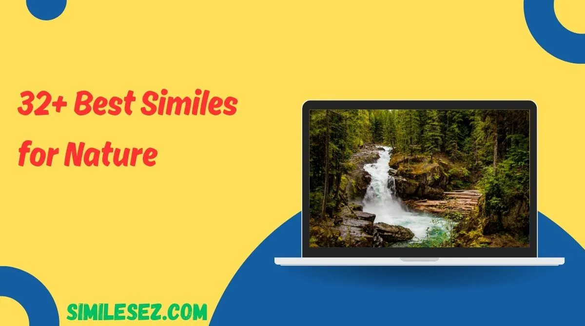32+ Best Similes for Nature