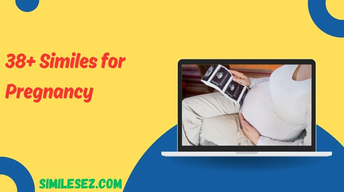 38+ Similes for Pregnancy