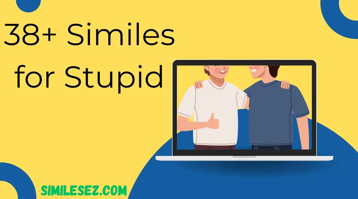 38+ Similes for Stupid