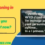 WYO Meaning in Text